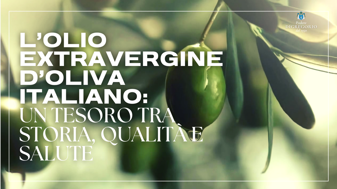 L’olio extravergine d’oliva italiano: storia, qualità e benefici di un alimento simbolo della dieta mediterranea